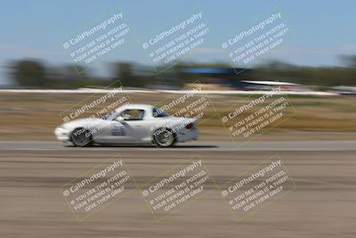 media/Oct-04-2025-OnGrid (Sat) [[44bd565ffa]]/Purple Group/Grapevine/